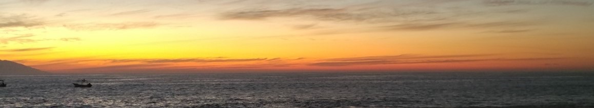 Disconnecting to stay sane